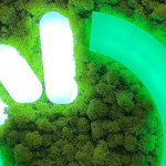 Enseigne végétale avec logo éclairé